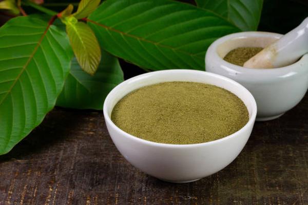 Kratom’s Hidden Dimensions Exploring Its Potential Beyond Pain Relief